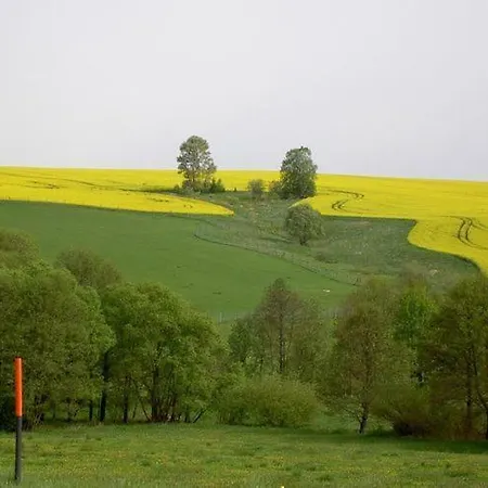 Countryside Holiday In Saxony With Terrace 펜션